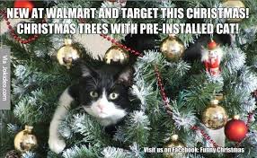 Cat In Christmas Tree Meme Jpg 700 431 Cat Christmas Tree Christmas Cats Christmas Cat Photos