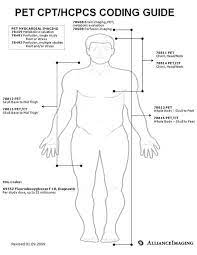 Cpt Codes Google Search Medical Billing And Coding Medical Coding Medical