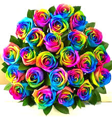 Shop our rainbow flowers online now. 24 Rainbow Roses Bouquet Sunlight Flower Shop