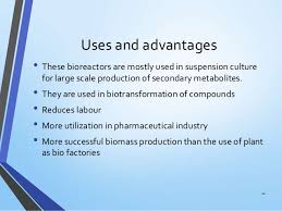 On the one's hand by the cultivation of animal or plant cells in the. Bioreactors For Plant Cell Cultures