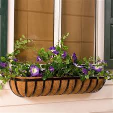 Beautiful gardens in miniature—that's the essential appeal of window boxes. 72 Deluxe English Garden Window Box W Std Coconut Coir Liner