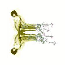 ▷ Porn Flower : Blume by Nils Eichberg, 2009 | Photography | Artsper