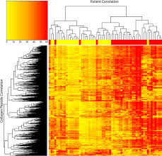 Colon cancer is sometimes called colorectal cancer, which is a term that combines colon cancer and rectal cancer, which begins in the rectum. Up Regulation Of Collagen Proteins In Colorectal Liver Metastasis Compared With Normal Liver Tissue Journal Of Biological Chemistry