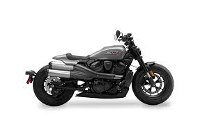 Image result for Daytona Gray 2025 S