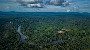 Maybe you would like to learn more about one of these? Brazil S Tropical Rainforest Is A Huge Economic Asset Financial Times