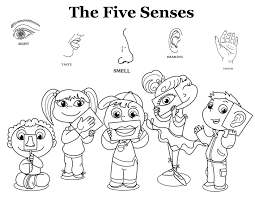 These five senses coloring pages are a great quick and easy activity with no prep, no cleanup, and would make a fantastic way to reference the five different senses throughout the entire week should you decide to put together a five senses theme unit for your preschooler. The Five Senses Senses Preschool Five Senses Worksheet Kindergarten Colors