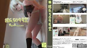 VoyeuR Room: No.509 - free game download, reviews, mega - xGames