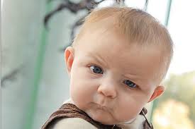 All stories published by TDS Archive