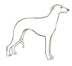 Greyhound dog coloring pages italian greyhound coloring page. Whippet Coloring Pages