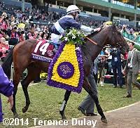 2014 Breeders Cup World Championships Results