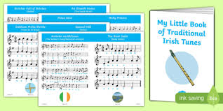 traditional irish tin whistle songs music booklet