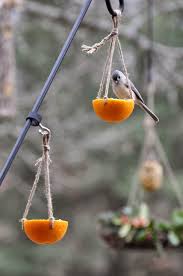 Feeder Bird Identifier By Picture The Garden Roof Coop Diy Suet Feeders Bird Houses Diy Diy Bird Feeder Bird Feeders