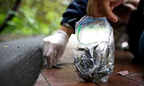 We did not find results for: Making New York S Glass Buildings Safer For Birds The New York Times
