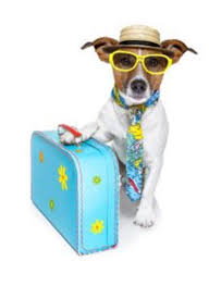 Crate Escapes with Kira