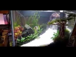 Bonsai kali ini untuk ukuran tank panjang :40cm tinggi :30cm lebar :25cm bahan yang digunakan.pohon senggani.batu pasir/sandstone.javamoss bahan.lem alteco/korea.tissue semoga menjadi inspirasi buat kalian jangan lupa subscribe ya bro. Aquarium Aquascape 40cm Youtube