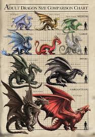 Size Chart Dragons Card In 2019 Dragon Fantasy Dragon