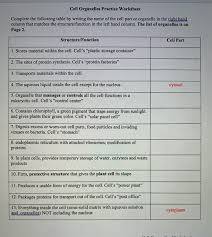 Gives plant cells their shape. Cell Organelles Practice Worksheet Complete The Chegg Com