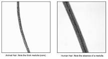 Image result