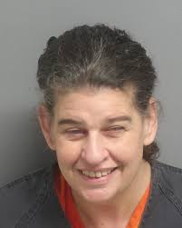 HCSO Arrests Public Records Results