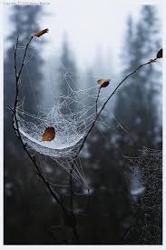 Unexpected Beauty