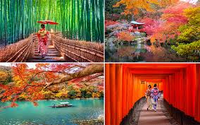 Plan your trip to tokyo to perfection by reading our guides. The Best Places To Visit On Your Japan Honeymoon Honeymoon Dreams