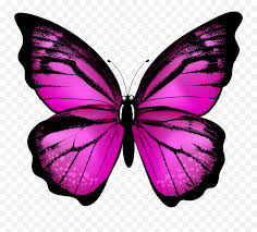 Download the orange butterfly png photo clipart background image and use it as your wallpaper, poster and banner design. Clipart Transparent Background Butterfly Emoji Free Transparent Emoji Emojipng Com