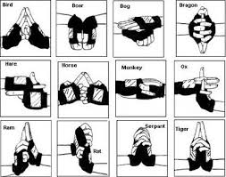 May 2010 Naruto Hand Signs Martial Arts Techniques Naruto