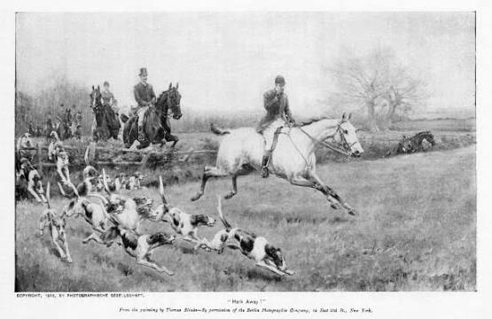 130+ Fox Hunting Painting Stock Photos, Pictures & Royalty-Free Images - iStock