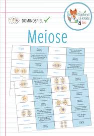 Meiose Grosses Domino Spiel Unterrichtsmaterial Im Fach Biologie In 2020 Domino Spiele Domino Unterrichtsmaterial