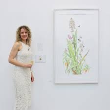 Image result for Dissotis glandulosa