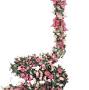 Profile Picture of Amazon.com: Miracliy 5 Pack 41 FT Fake Rose Vine Flowers Plants ... (@amazon.com) on Google