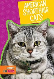 The following list of cat breeds includes only domestic cat breeds and domestic × wild hybrids. 21 Best Cat Breeds Books Of All Time Bookauthority