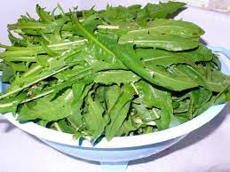 Cicoria Selvatica Ricette E Proprieta Idee Green Ricette Consigli Utili Coltivare