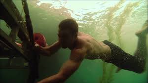 The casting continues on the 3d film sara paxton (the last house on the left), dustin milligan and katharine mcphee are the latest additions to shark night 3d. Shark Night 3d Caged In Youtube