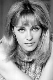 Eyes Behind the Stars