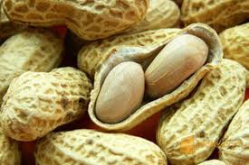 We did not find results for: What Is Urusan Seri Paduka Baginde This Is A Malay Phrase What Is Its Meaning And Origins Quora