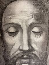 Las mejores ofertas en Veronica Velo