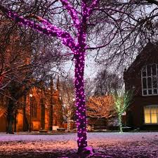 This information applies only to the desktop and mobile versions of terraria. Solar Fairy Lights Pink 50 Led
