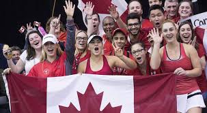 România a învins cehia în primul tur din grupa mondială fed cup și va juca în semifinalele fedcup contra franței. Trn Dobro Okoncine Fed Cup 2019 Sophiacoxefoundation Com