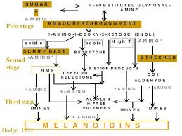 Coffee Chemistry Made Simple A Look At What Happens Inside The Bean Coffee Chart Maillard Reaction Grinding Coffee Beans
