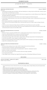 director, business strategy resume