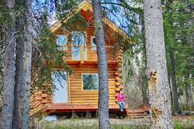 Beach rentals golf rentals cabin rentals disney rentals ski rentals pet friendly rentals discounted rentals. Cozy Alaskan Log Cabin Cabins For Rent In Fairbanks Alaska United States