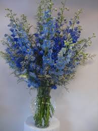 Maybe you would like to learn more about one of these? Send The Blue Delphinium Flower Arrangement Bouquet Of Flowers From Fillmore Florist San Delphinium Flowers Blue Flower Arrangements Beautiful Flowers Pictures