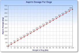 Aspirin For Dogs What You Need To Know