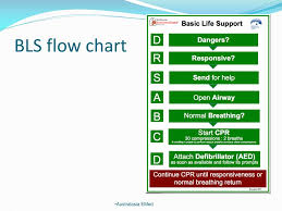Ppt Arc Als Guidelines Update 2011 Powerpoint