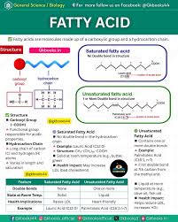 Image result for Fatty Acid