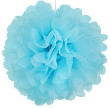 Tissue Paper Pom Pom Flower Ball 20inch Baby Blue