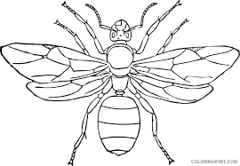 Color in this picture of a wasp and others with our library of online coloring pages. Insect Coloring Pages Wasp Coloring4free Coloring4free Com