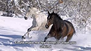 Wild Horses Susan Boyle Lyrics Hd Scenic Youtube