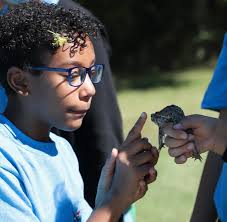2022 Impact Report by Girl Scouts in the Heart of PA